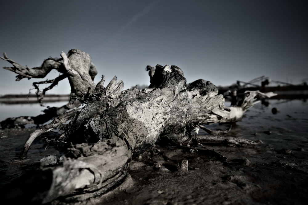 5. Platz Harald Unglert